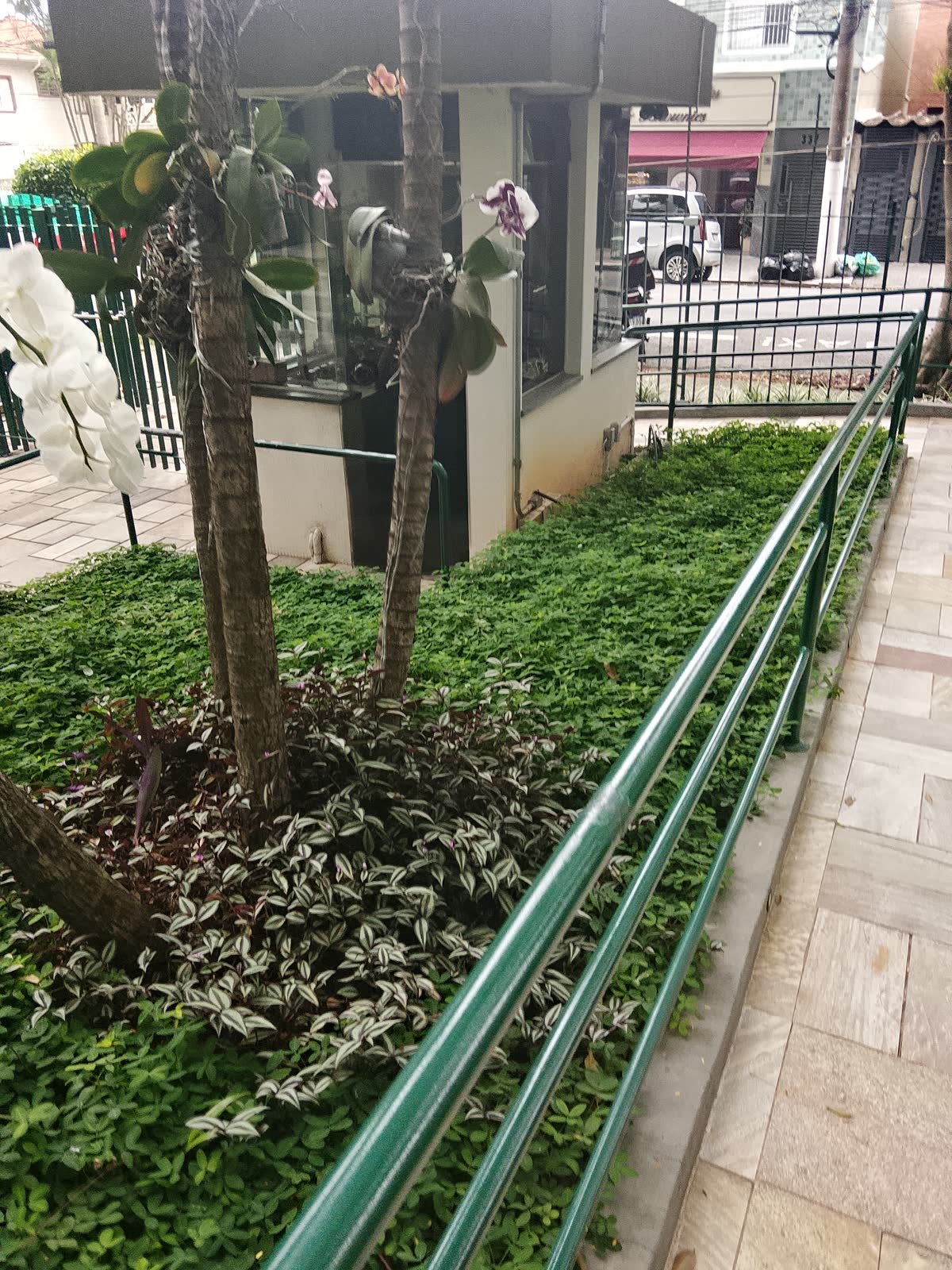 Paisagismo ao redor da guarita com forração e orquídeas